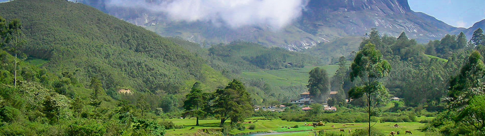 Munnar