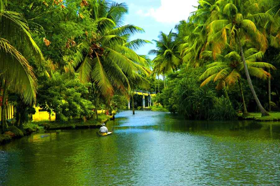 4 Night Honeymoon Paradise – Kerala Tourism – Triprox Travels